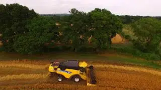Golden Harvest 2015