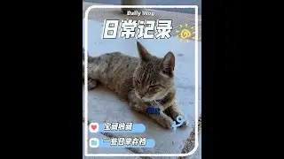 #日常分享 #vlog日常 #谷雨光感水
