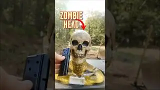 Snake Shot Vs Your FACE!