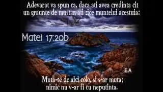 Roada Duhului Sfint