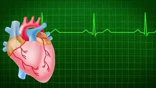 Human Heart Beating Animation Green Screen With Sound Effects (Download link in description)