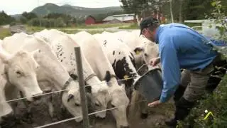 Lokal mat i Destination fun&auml;sdalen
