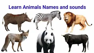 How to read Animals Name in English | Learn Animals Names and sounds