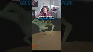 Peak Secret Enemy