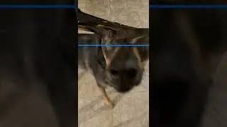 Time warp filter challenge ￼