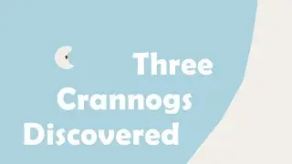 Three previously unknown crannogs discovered in Co. Cavan