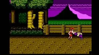 Double Dragon NES - Playing as Marian