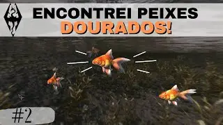 SKYRIM ANNIVERSARY EDITION  - [EP 2] PESQUEI UM PEIXE DOURADO E MOSTREI ONDE ENCONTR&Aacute;-LOS