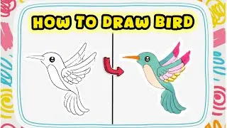 How to Draw a Beautiful Bird &ndash; Colorful Animal Drawing Guide