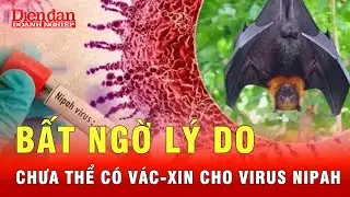 V&igrave; sao chưa c&oacute; thuốc v&agrave; vaccine cho virus Nipah khi 75% người mắc bị tử vong? | Tin tức 24h