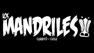 Los Mandriles / tocata en la casa de todos, Curepto / jul 2025 /v03