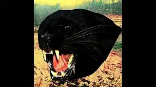 Lofty305 -  Posh Gang Spanish Hoz (ft. Freebase) - Haunted Clothes
