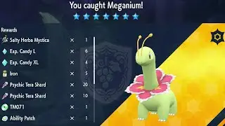 [Pok&eacute;mon Violet] - Meganium - {Mighty Tera Raid # 22}🔮