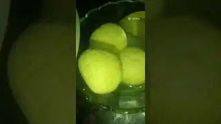 spunch rosogolla😋 ##kitchenspices ##yummy ##tasty ##rosogulla😍 ##kitchenspices