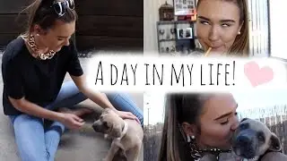 A Day In My Life | Shani Grimmond