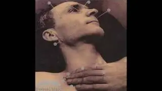 Pitchshifter - (A Higher Form Of) Killing