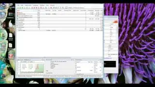 Netbalancer