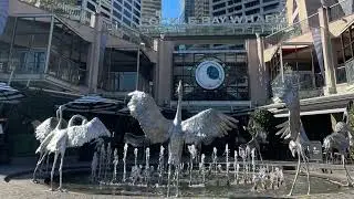 Visit Cockle Bay Wharf - Sydney Darling Harbour - beautiful sunny day