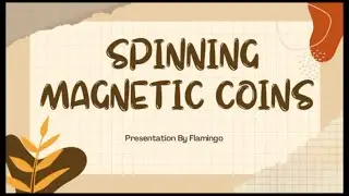 TSF 13 (GROUP 3): SPINNING MAGNETIC COINS