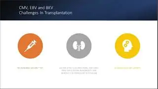 Post-Transplant Viral Infections: Challenges with Clinical Management
