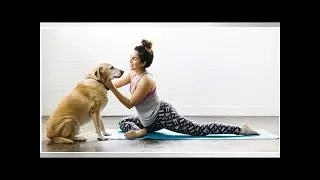 &infin;Happy National Yoga Day: Shop The Jade Harmony Yoga Mat