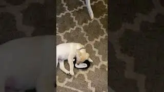 Eli got a slipper