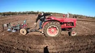 Neill Scott rep. Northern Ireland McCormick IH W4 2.5 Litre 4-Cyl Diesel Tractor 6 Nations 2025