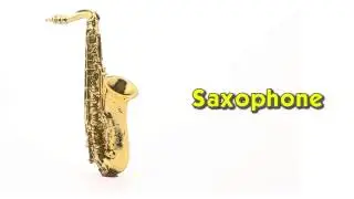 B007APP1MU Safari LTD Musical Instruments Toob