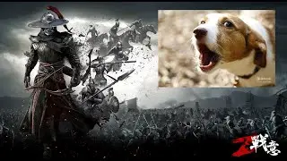 【Conqueror's blade戰意】超派 40系列精華 The return of 40 series