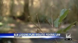 BLM logging plan violates federal law