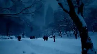 New York in the snow Mario Pettenati