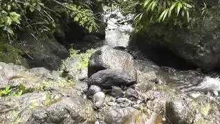 DECOUVERTE DES MONTAGNES DE TAHITI