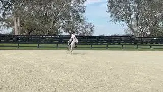 Crown Ridge Giggles