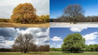 Astronomical & Meteorological Season Changes