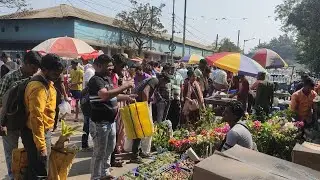 talahat plant market,asia largest plant market. varities of plant are available on gliff street..