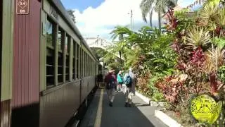 Kuranda National Park Australia Diving Center Punta Stilo Full HD &copy;