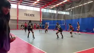 Mini Mas Gold vs Lobas