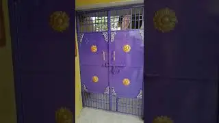 Simple gate best colour best design
