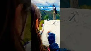 Andes to Amazon Nature Journaling Adventure! #naturejournal