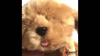 Moose Little Live Pets Snuggles My Dream Puppy Toy