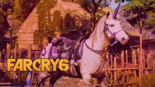 Far Cry 6: Treasure Hunt, Sweet Fifteen