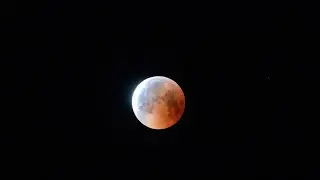 Super blood moon was a &lsquo;really spectacular feat&rsquo;