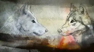 Les deux loups, légende amérindienne