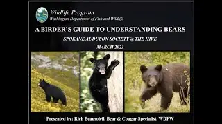 Mar 2023, A Birder's Guide to Understanding Bears