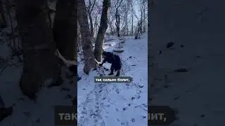 Это не фильм ужасов, это российская реальность