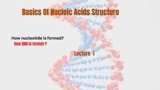 Basics of nucleic acid (structure of DNA and nucleotides) lecture 1 in Hindi