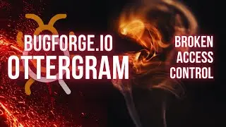 Bugforge.io - Ottergram-002 (Broken Access Control)
