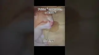 Вибибиби #memes #мем #мемы #хочуврек #кот #сон #рекомендации #best #ржака #шортс #рентв