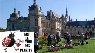 Les Journées des Plantes de Chantilly 2021