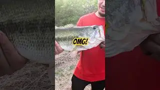 #bassfishing #berkleyfishing #bassfishing #fishing #googanbaits